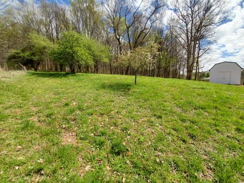 453 Fordtown Road Fall Branch Tn 37656, Fall Branch, TN 37656 photo 8