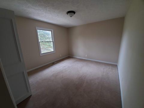 453 Fordtown Road Fall Branch Tn 37656, Fall Branch, TN 37656 photo 30
