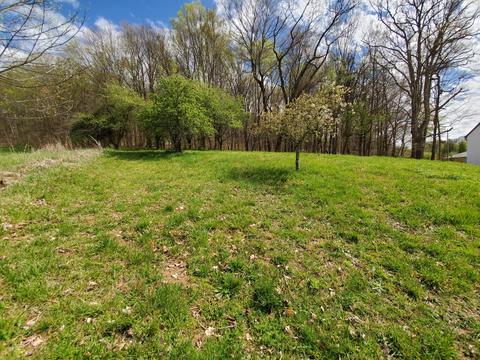 453 Fordtown Road Fall Branch Tn 37656, Fall Branch, TN 37656 photo 9
