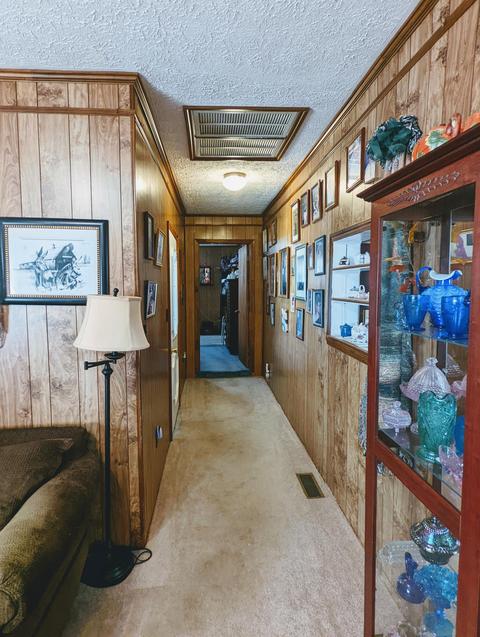 9502 Dc Caney Coeburn Va 24230, Coeburn, VA 24230 photo 31