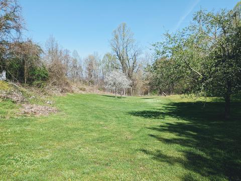 9502 Dc Caney Coeburn Va 24230, Coeburn, VA 24230 photo 7