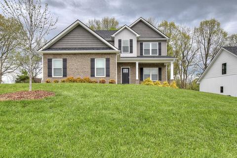 1061 Savin Falls Gray Tn 37615, Gray, TN 37615 photo 2