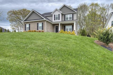 1061 Savin Falls Gray Tn 37615, Gray, TN 37615 photo 3