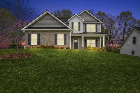 1061 Savin Falls Gray Tn 37615, Gray, TN 37615 photo 1