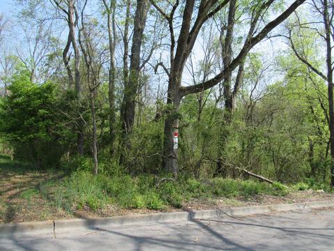 3501 Mellon Street Kingsport Tn 37660, Kingsport, TN 37660