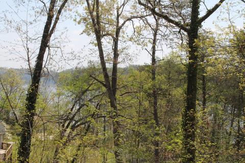 1246 Rugged Range Rd Road Bean Station Tn 37708, Bean Station, TN 37708 photo 4