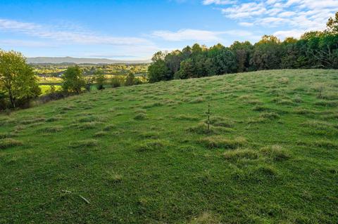 277 Morrison Road Chuckey Tn 37641, Chuckey, TN 37641 photo 9