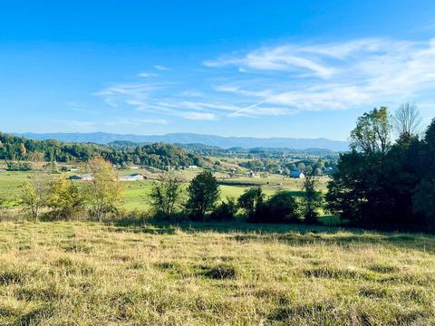 277 Morrison Road Chuckey Tn 37641, Chuckey, TN 37641 photo 7
