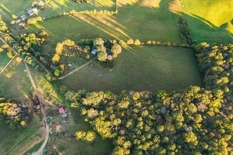 277 Morrison Road Chuckey Tn 37641, Chuckey, TN 37641 photo 26