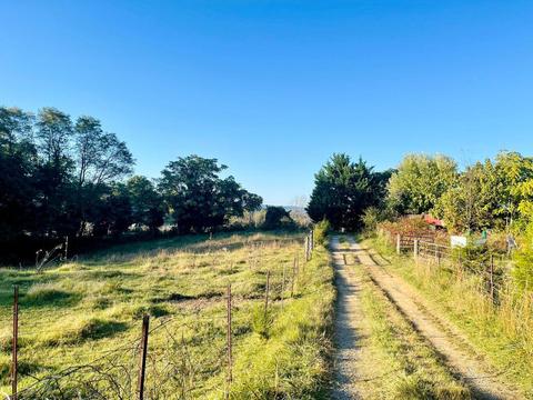 277 Morrison Road Chuckey Tn 37641, Chuckey, TN 37641 photo 11