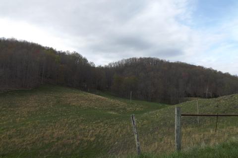 0 Buffalo Hollow Castlewood Va 24224, Castlewood, VA 24224