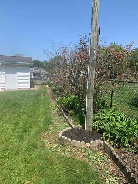 1150 Mountainview Road Erwin Tn 37650, Erwin, TN 37650 photo 9