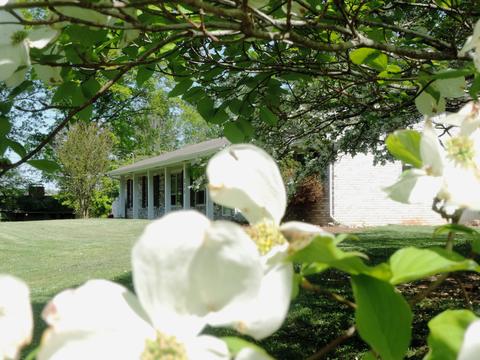 213 Clearview Street Gray Tn 37615, Gray, TN 37615 photo 3