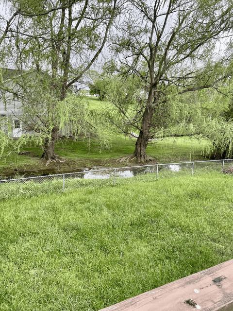 204 Springview Drive Gray Tn 37615, Gray, TN 37615 photo 20