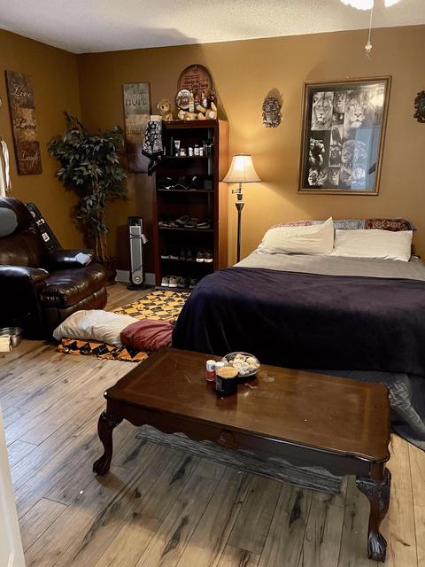 204 Springview Drive Gray Tn 37615, Gray, TN 37615 photo 11
