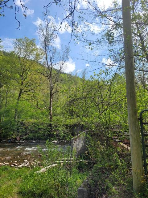 Tba Roan Creek Road, Butler, TN 37640