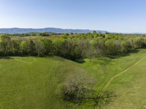 3811 Old State Route 34 Limestone Tn 37681, Limestone, TN 37681 photo 58