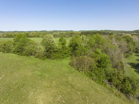 3811 Old State Route 34 Limestone Tn 37681, Limestone, TN 37681 photo 62