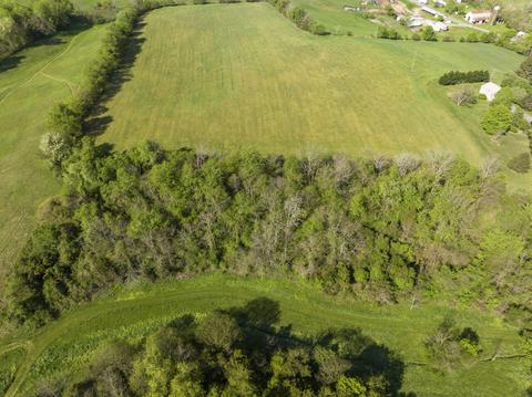 3811 Old State Route 34 Limestone Tn 37681, Limestone, TN 37681 photo 46