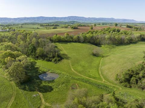 3811 Old State Route 34 Limestone Tn 37681, Limestone, TN 37681 photo 55