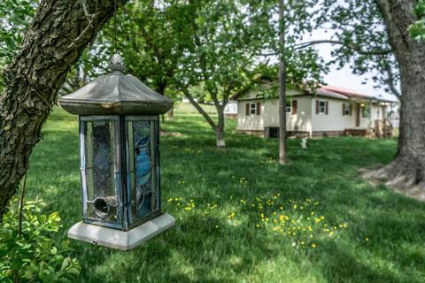 70 Williamson Valley Road Chuckey Tn 37641, Chuckey, TN 37641 photo 10