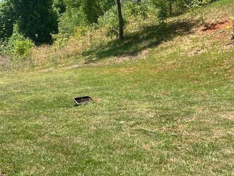 176 Sugarcane Lane Blountville Tn 37617, Blountville, TN 37617