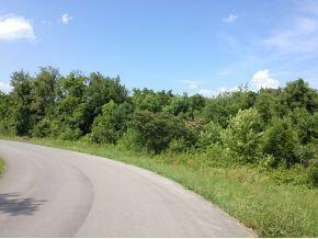 00 Powder Branch Road Elizabethton Tn 37643, Elizabethton, TN 37643