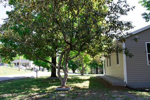 404 Juniper Street Greeneville Tn 37745, Greeneville, TN 37745 photo 13