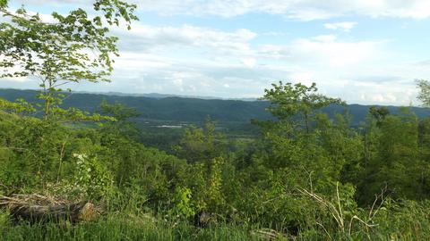 0 Osborne Ridge Road Dungannon Va 24245, Dungannon, VA 24245