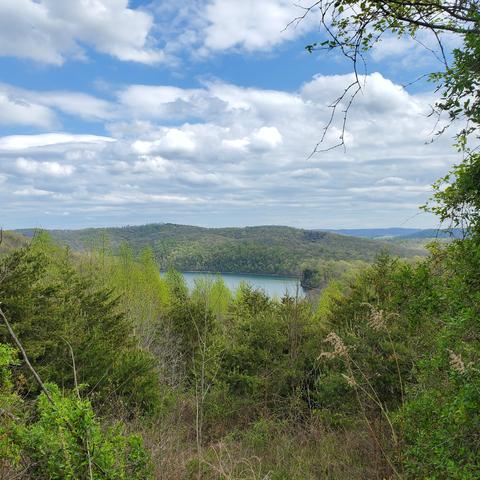 lot714 Whistle Valley Road New Tazewell Tn 37825, New Tazewell, TN 37825