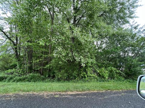 tbd Ryan Road Meadowview Va 24361, Meadowview, VA 24361