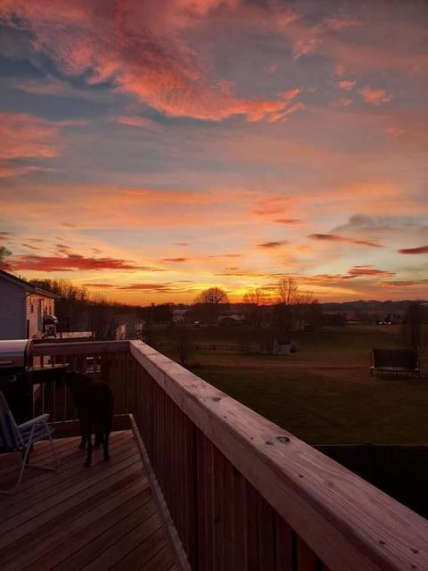 533 Painter Road Fall Branch Tn 37656, Fall Branch, TN 37656 photo 4