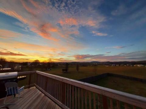 533 Painter Road Fall Branch Tn 37656, Fall Branch, TN 37656 photo 3