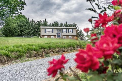 895 Old Snapps Ferry Road Chuckey Tn 37641, Chuckey, TN 37641 photo 60