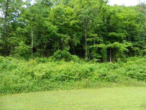 0 Little Valley Road Kingsport Tn 37660, Kingsport, TN 37660