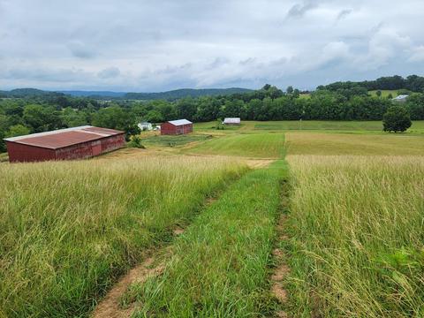 736 Providence Road Limestone Tn 37681, Limestone, TN 37681 photo 1