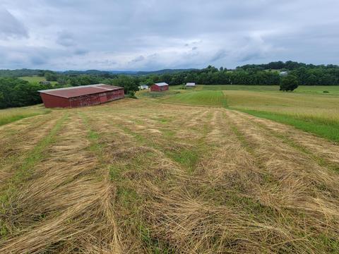 736 Providence Road Limestone Tn 37681, Limestone, TN 37681 photo 2