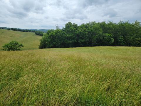 736 Providence Road Limestone Tn 37681, Limestone, TN 37681 photo 9
