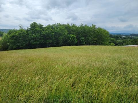 736 Providence Road Limestone Tn 37681, Limestone, TN 37681 photo 8