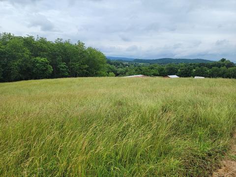 736 Providence Road Limestone Tn 37681, Limestone, TN 37681 photo 10