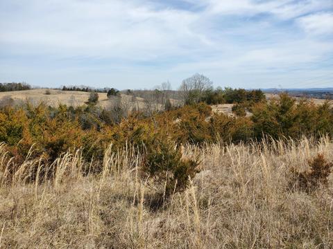 2300 Mountain Valley Road Mohawk Tn 37810, Mohawk, TN 37810 photo 5