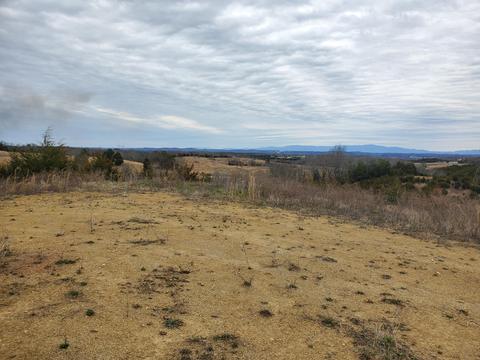 2300 Mountain Valley Road Mohawk Tn 37810, Mohawk, TN 37810 photo 9