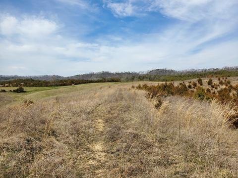 2300 Mountain Valley Road Mohawk Tn 37810, Mohawk, TN 37810 photo 2