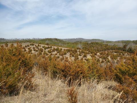 2300 Mountain Valley Road Mohawk Tn 37810, Mohawk, TN 37810 photo 3