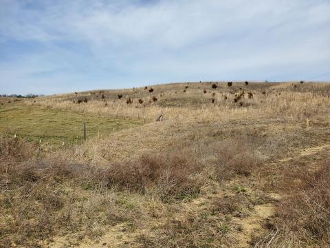 2300 Mountain Valley Road Mohawk Tn 37810, Mohawk, TN 37810 photo 4