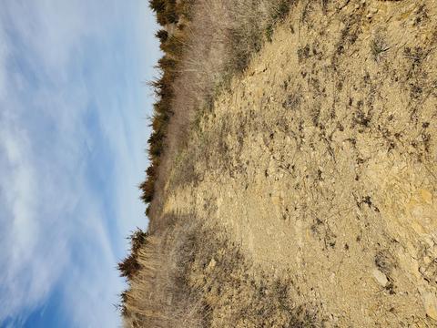 2300 Mountain Valley Road Mohawk Tn 37810, Mohawk, TN 37810 photo 6