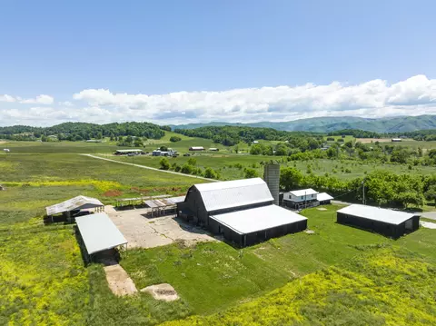 150 Lester Snapp Road Limestone Tn 37681, Limestone, TN 37681 photo 7