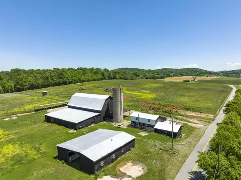 150 Lester Snapp Road Limestone Tn 37681, Limestone, TN 37681 photo 5