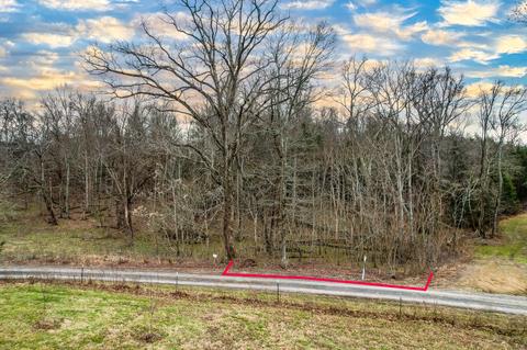 tbd Jay Fanning Road Afton Tn 37616, Afton, TN 37616