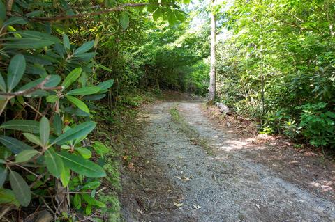 11 Davis Lane Chuckey Tn 37641, Chuckey, TN 37641 photo 10